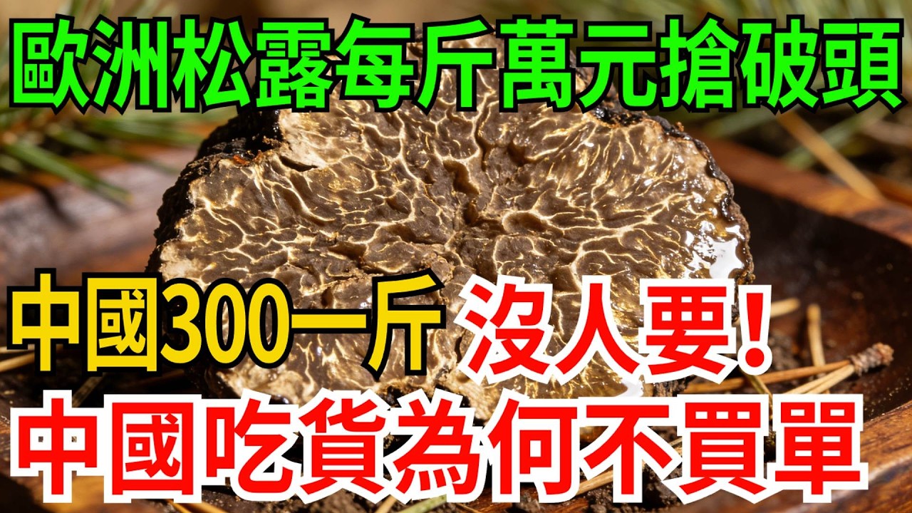 歐洲松露每斤萬元搶破頭，中國300一斤沒人要！中國吃貨為何不買單？【觀勢經緯】#科普#世界之最 #出類拔萃 #top10#松露 #東西方飲食文化 #奢侈品消費心理 #雲南黑松露 #食材冷知識