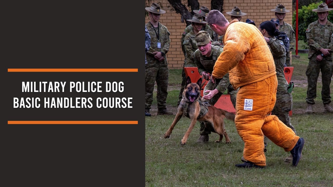 Military Police Dog Basic Handlers Course