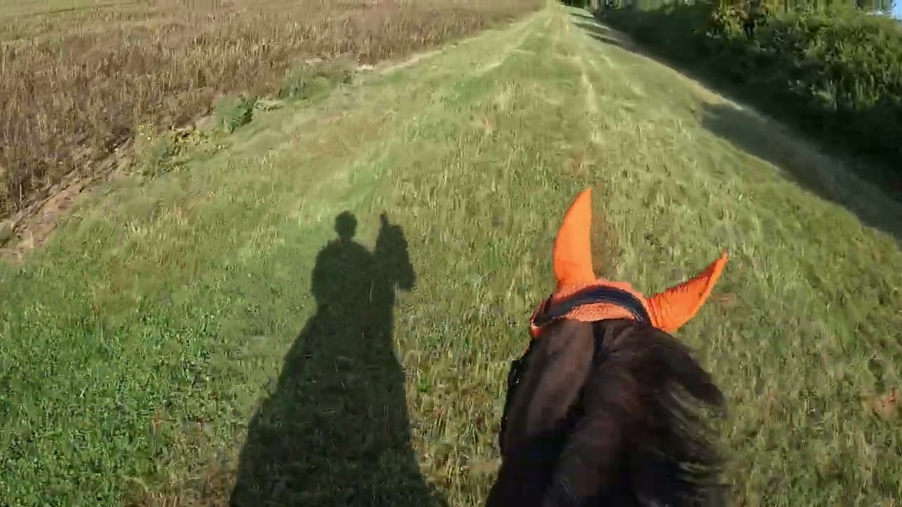Friday 8th August 2025 Canter
