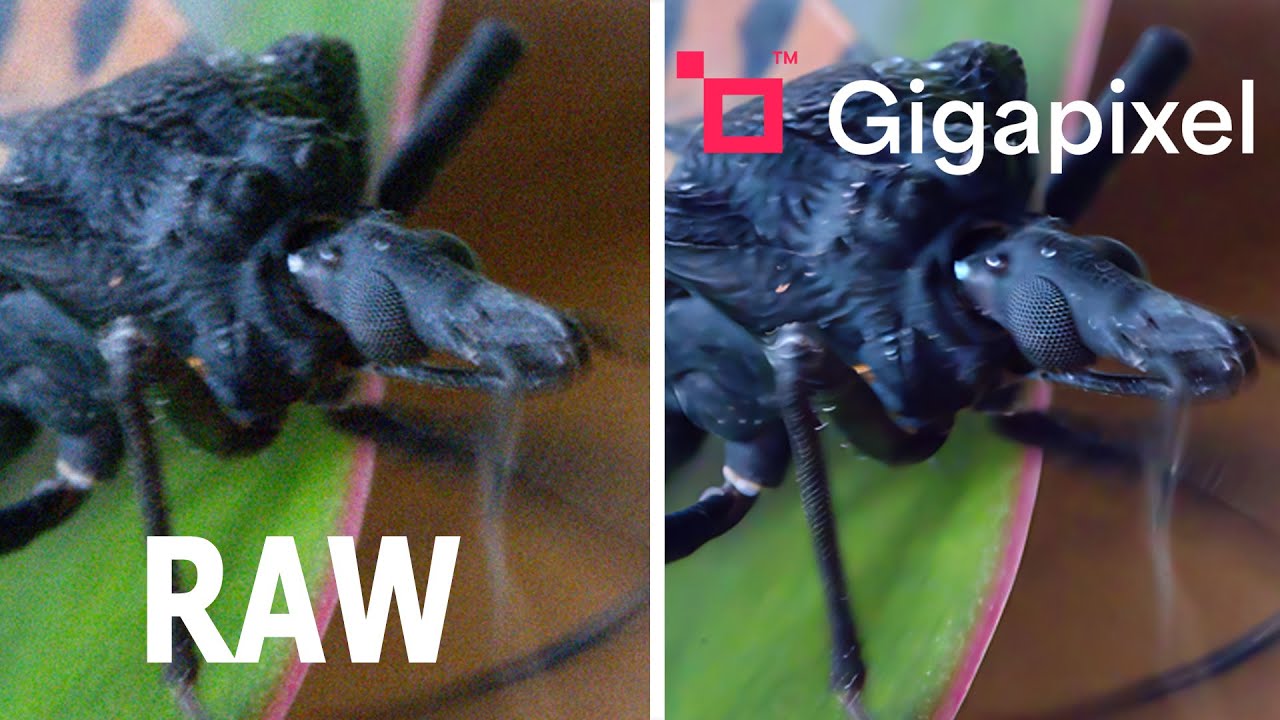 WOW ! - 'Topaz Gigapixel' verwandelt 'Schrottfoto