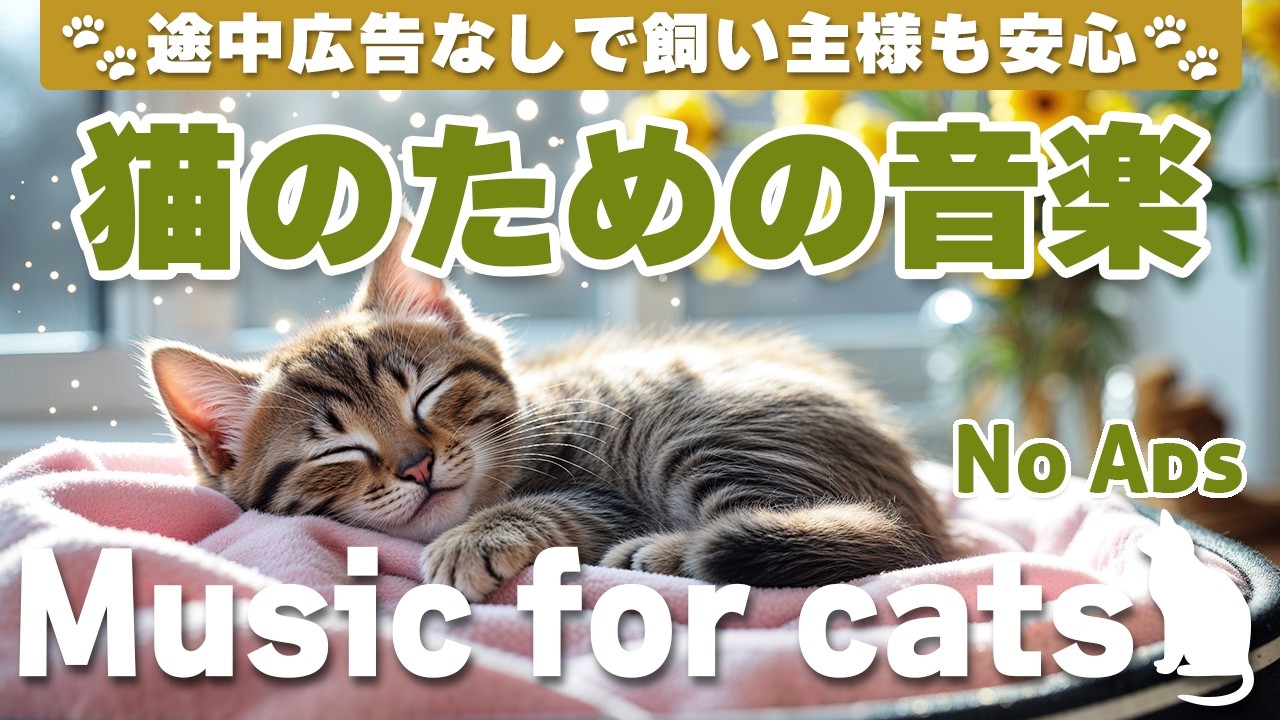 猫が落ち着く音楽｜留守番中も安心できるBGM（12時間・途中広告なし）Relaxing Music for Cats | No Ads | 12 Hours _vol.370