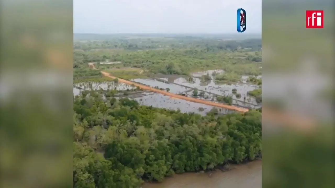 ក្រសួងបរិស្ថានកំពុងចាត់វិធានការផ្លូវច្បាប់ចំពោះអ្នកទន្ទ្រានយកដីព្រៃកោងកាង នៅខេត្តកោះកុង