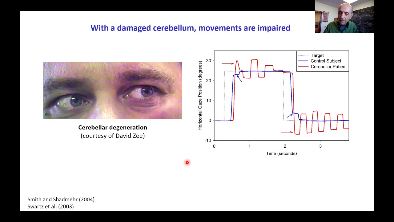 Reza Shadmehr: Learning from Prediction Error