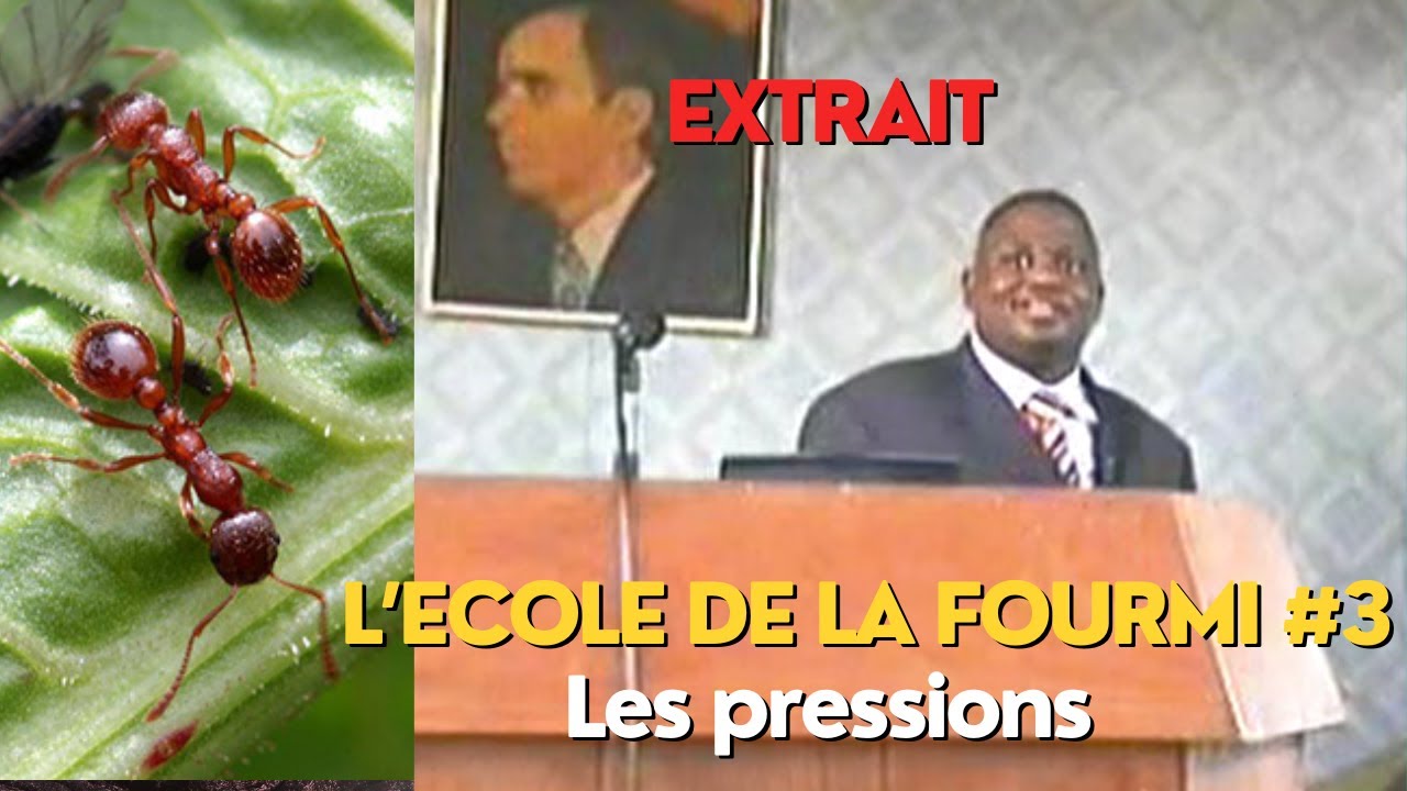LA RICHESSE EST-ELLE NATURELLE ? - EXTRAIT DE L’ÉCOLE DE LA FOURMI Partie 03 - LES PRESSIONS