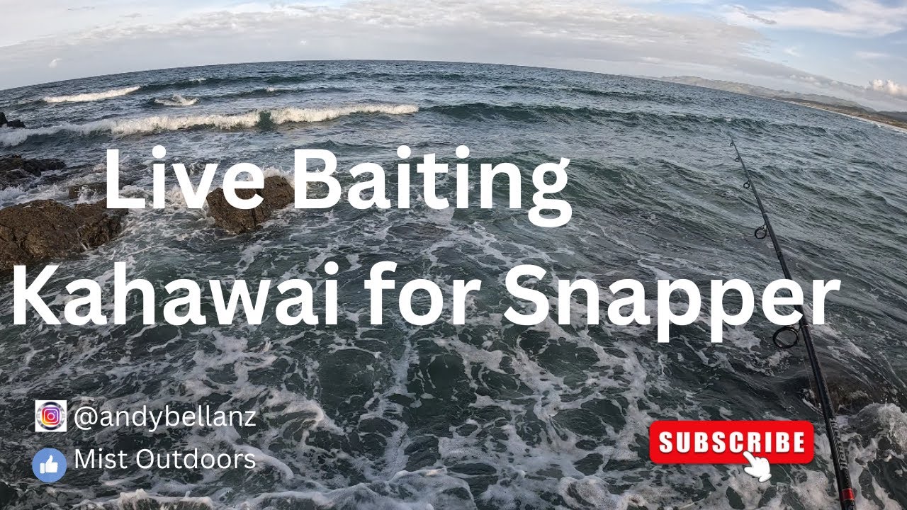 Snapper Hunting | Live baiting to catch our PB Snapper | #fishing #newzealand #livebait_fishing
