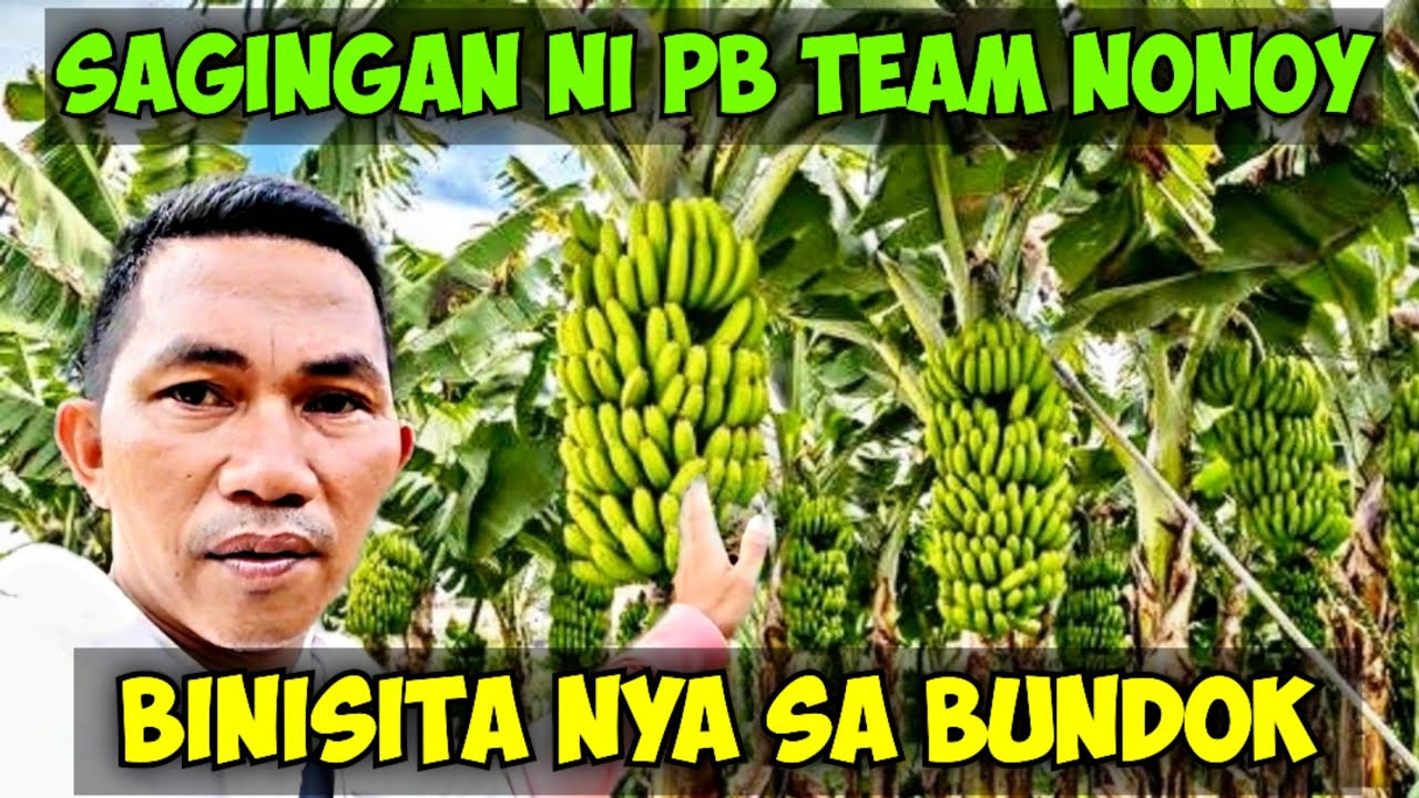 SAGINGAN NI PB TEAM NONOY BINISITA NYA SA BUNDOK