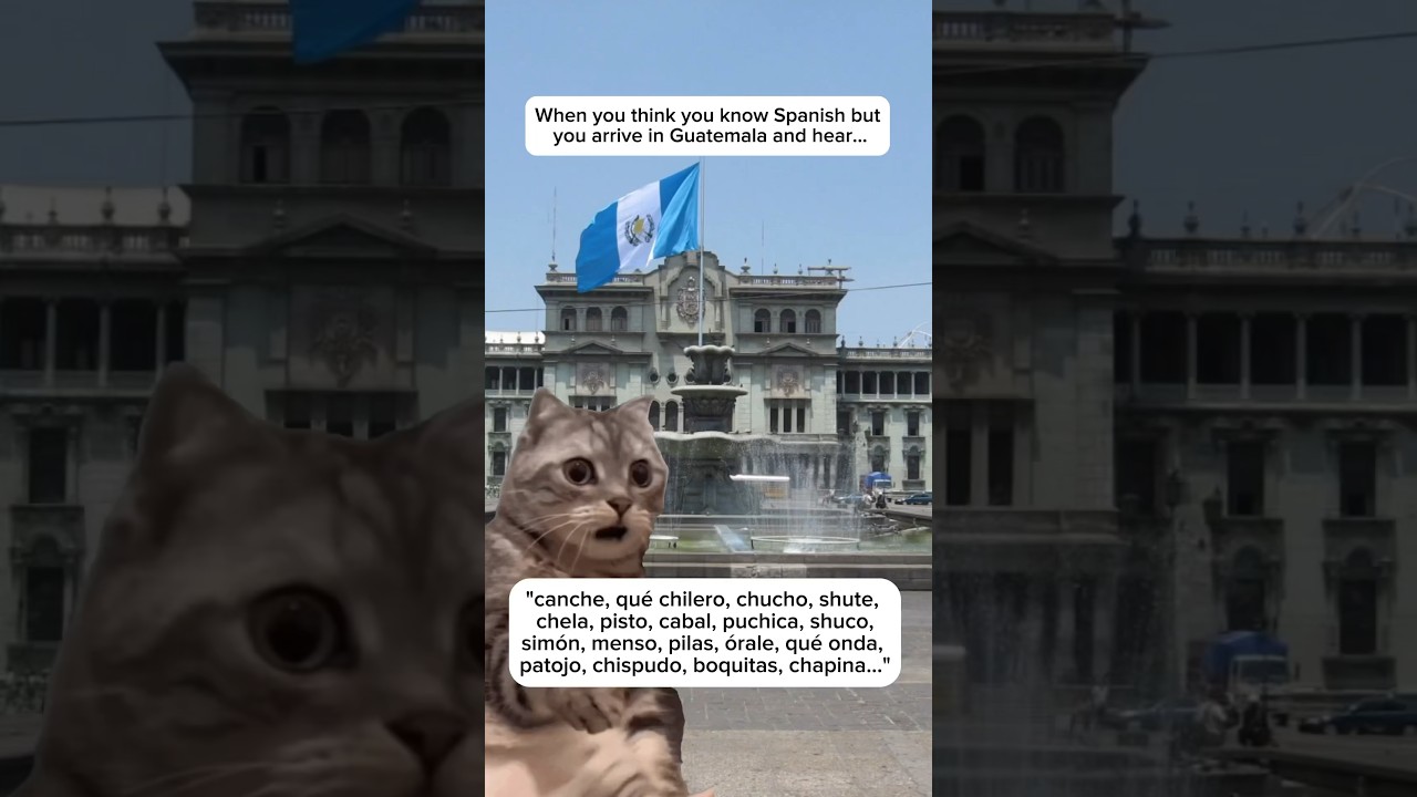 🇬🇹Guatemalan slang 😂 