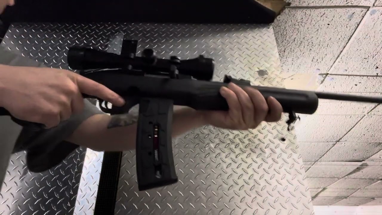 Rossi .22LR with 25 rd mag
