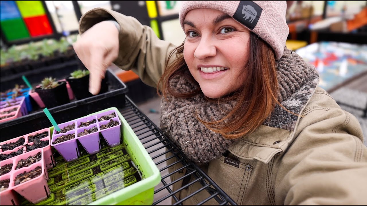 That time I killed everything (need help garden planning?) | VLOG