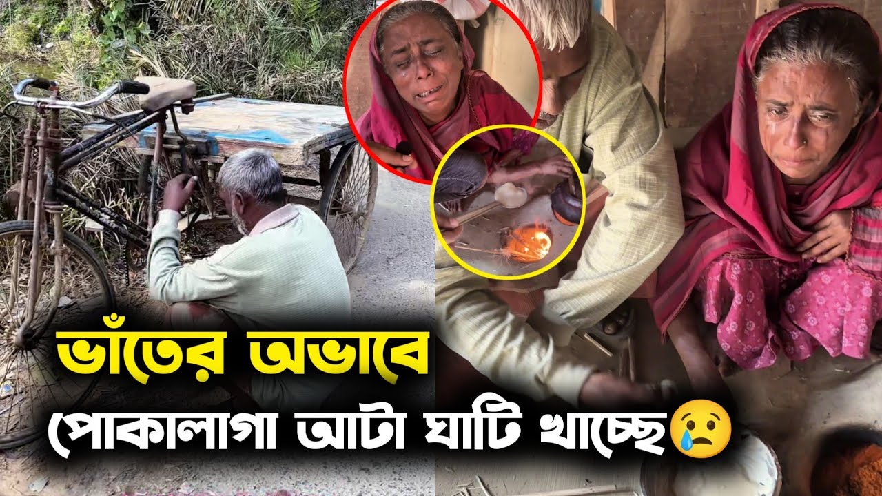 কতটা অসহায় হলে ভাঁতের অভাবে পোকালাগা আটা ঘাটি খেতে পারে 😢🙏 