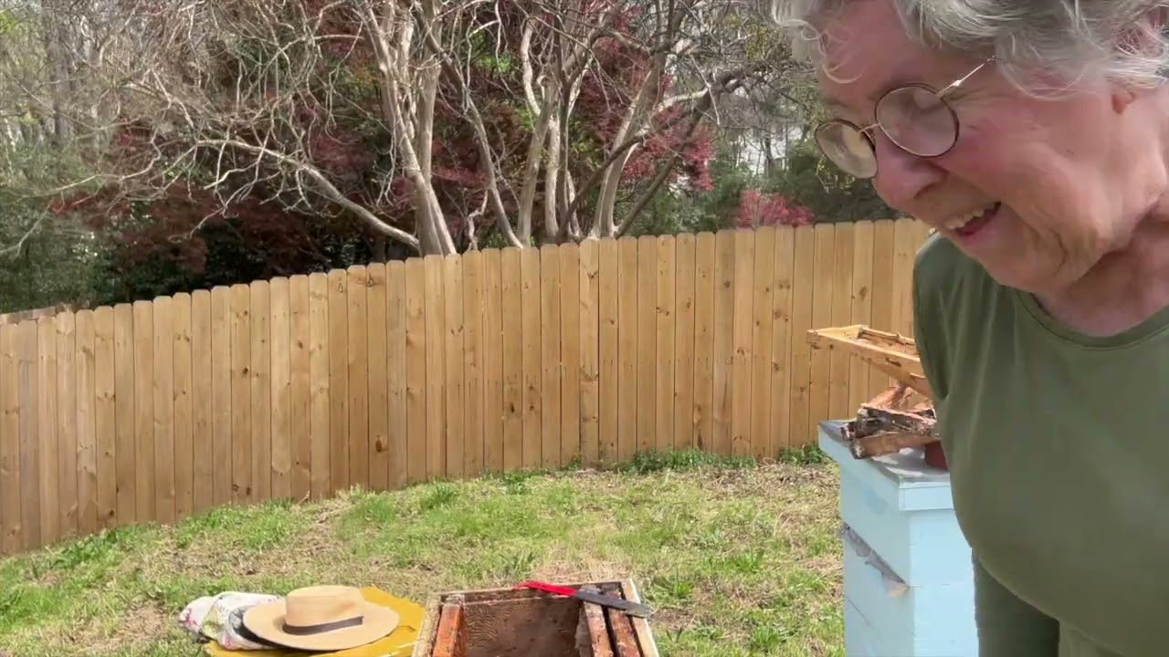 Swarm catch and install March 27, 2024