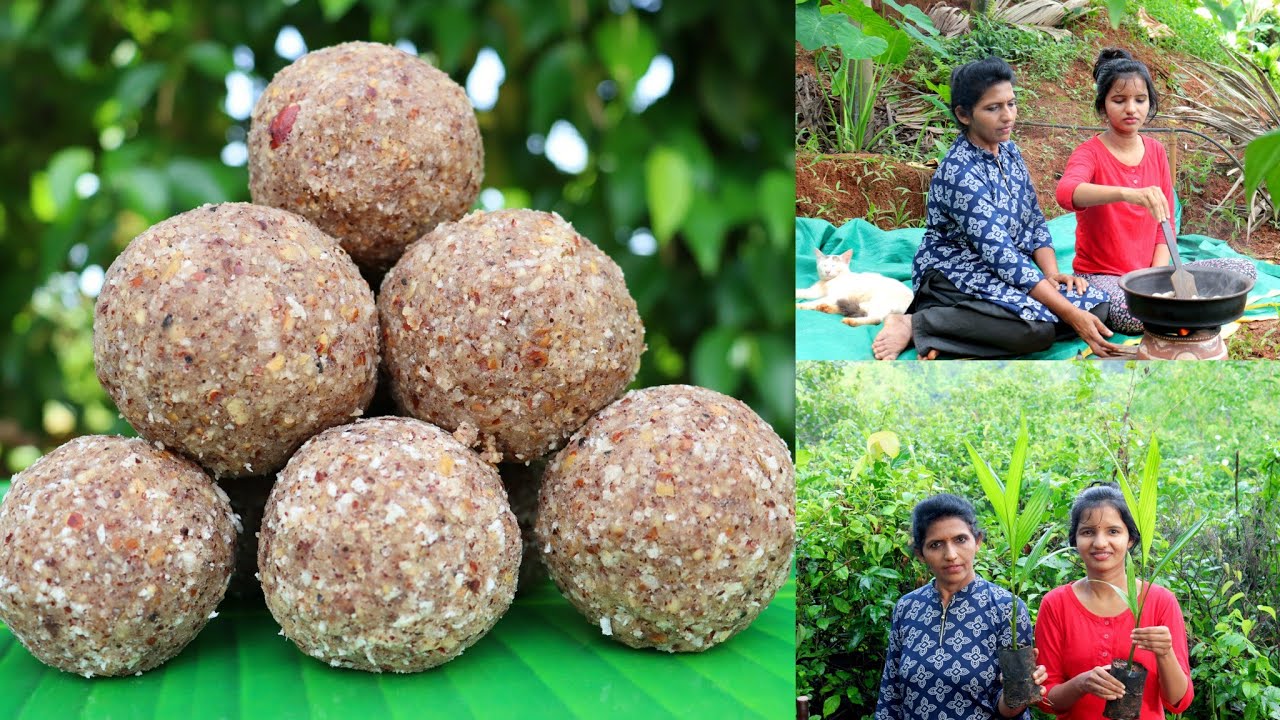 ಕಡಿಮೆ ಸಾಮಾಗ್ರಿಗಳನ್ನು ಬಳಸಿ ಸುಲಭವಾದ ಲಡ್ಡು ಹೀಗೆ ಮಾಡಬಹುದು|ಅಡಿಕೆ ಗಿಡಗಳನ್ನು ಹೀಗೆ ನೆಡಿಯಿರಿ|Easy LadduRecipe