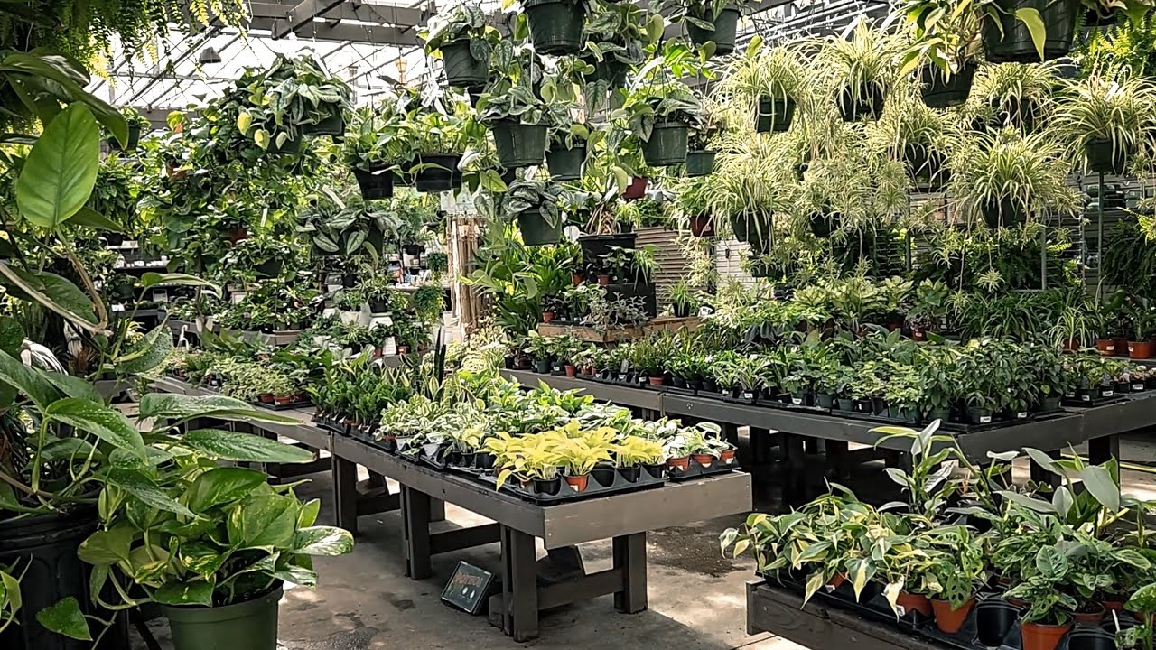 Come Plant Shopping With Me! | Virginia Beach Garden Center Tour