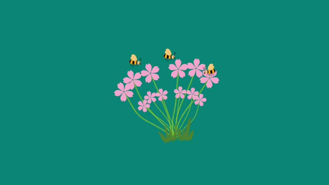 Butterfly in Flower - Velvet Night ( No Copyright)