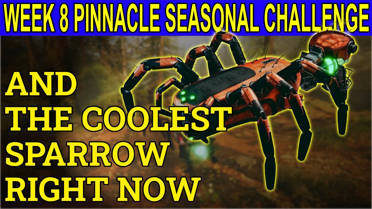 WEEK 8 Pinnacle Seasonal Challenge & The Coolest Sparrow Right Now (Destiny 2 Season 15)