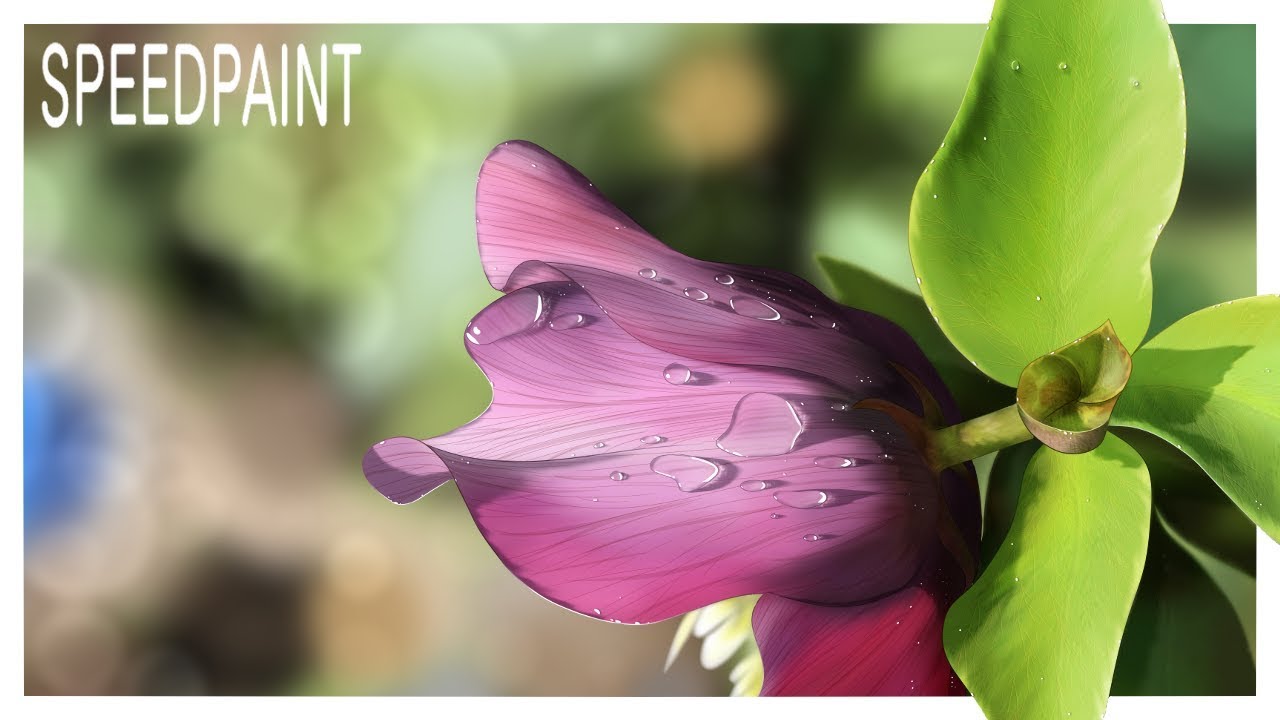 Flower |Animation & Speedpaint|