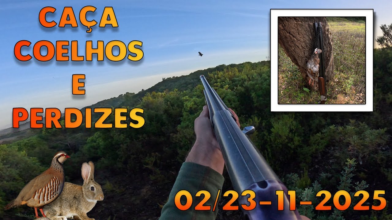 Mais Dois Dias de Ca&ccedil;a Geral aos Coelhos e &agrave;s Perdizes - Caza de Conejos e Perdices! (02/23-11-2025)