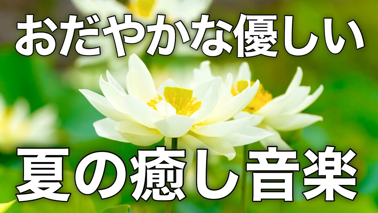 【癒しBGM】心が落ち着く優しいリラックス音楽、自律神経を整え不安やストレス解消のためのヒーリングミュージック/睡眠用・作業用・勉強用BGM