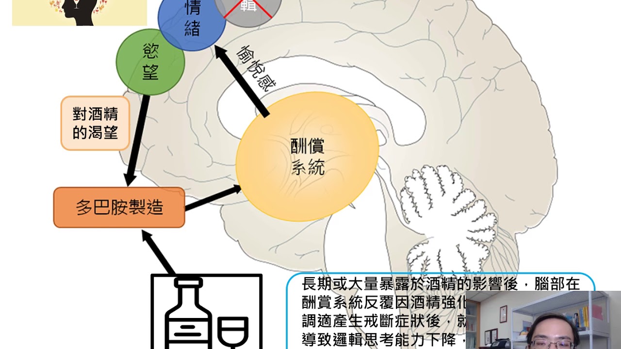 酒精使用障礙症: 酒癮成因與治療選擇
