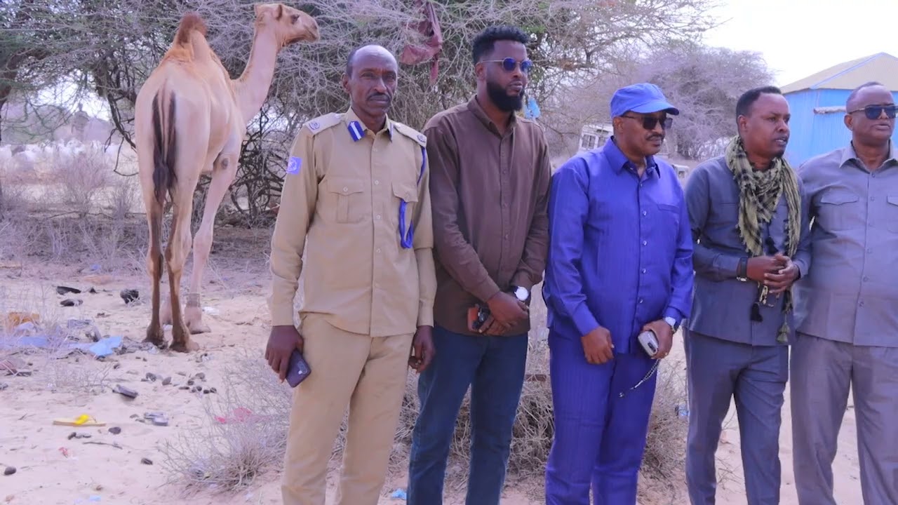 Xildhibaan Xasan Daa'uud 