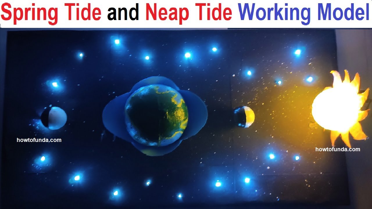 spring tide and neap tide working model - geography model - diy - simple and easy steps | howtofunda