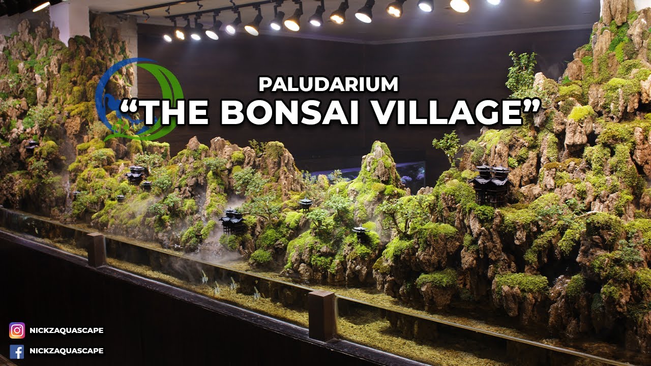 MEGA PALUDARIUM RESCAPE | THE BONSAI VILLAGE | 600 X 160 CM