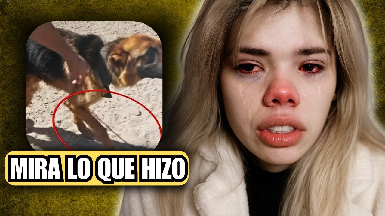 LA BRUJA OTAKU QUE TRATÓ MAL A SU EX Y SU PERRO