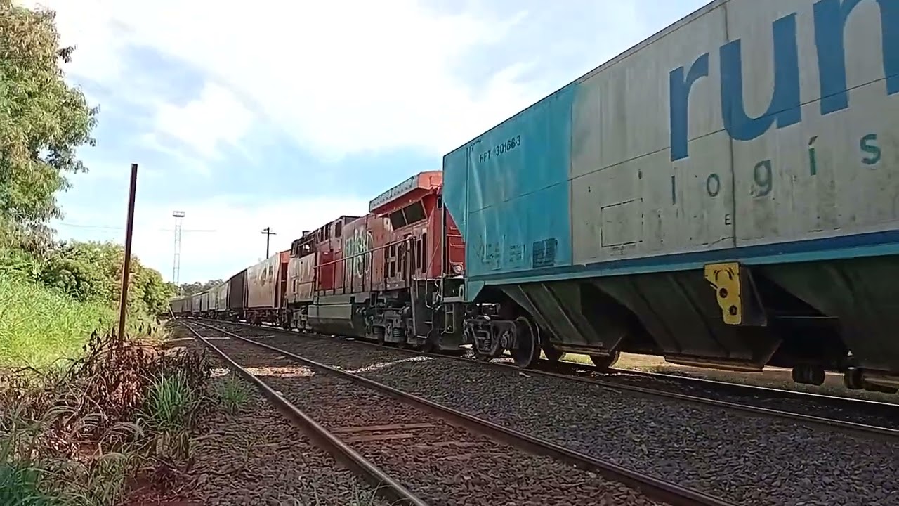 Graneleiro tricotrol carregado sentido ZLI com 4 locomotivas 135 vagões e com 2 locotrol