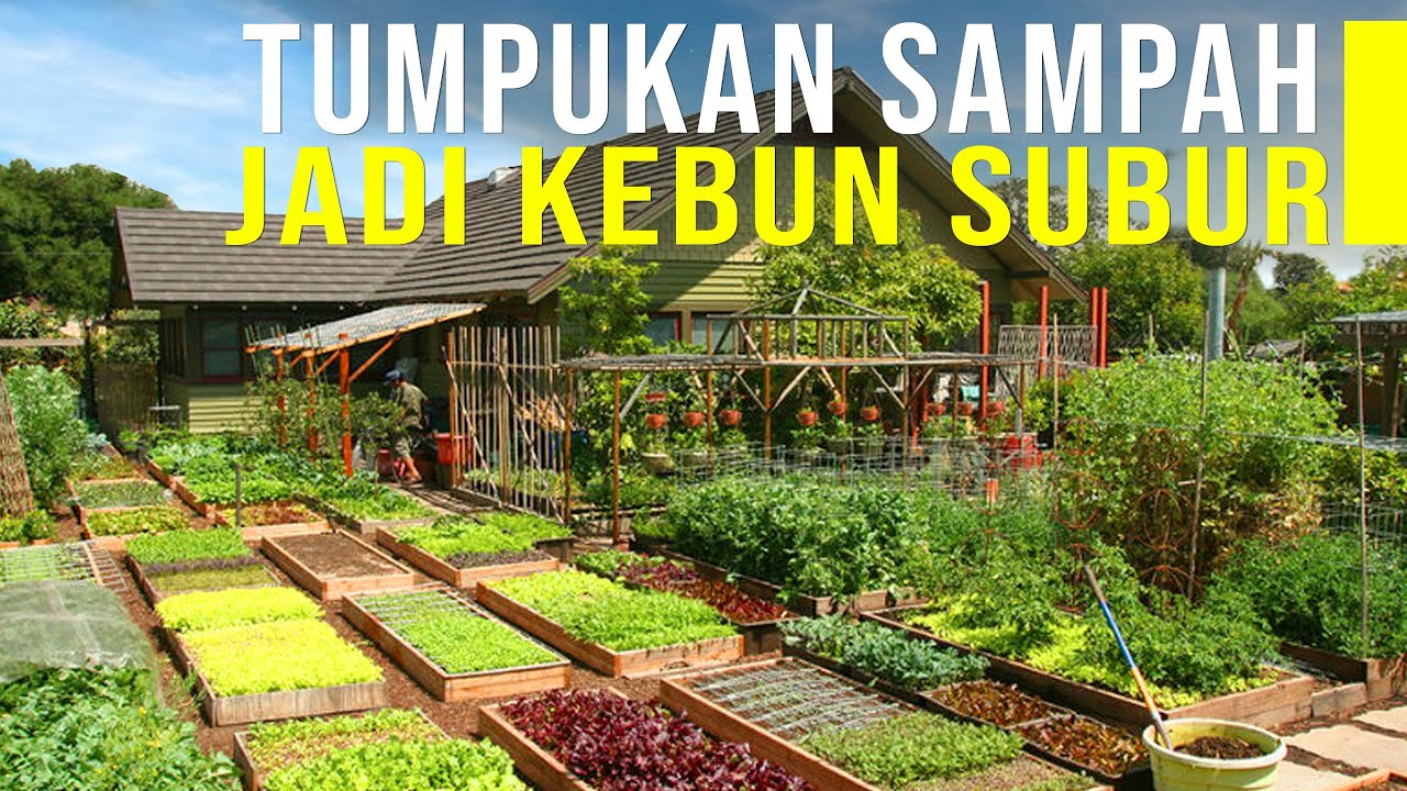 Warga Ubah Tumpukan Sampah Jadi Kebun Dan Kolam Ikan