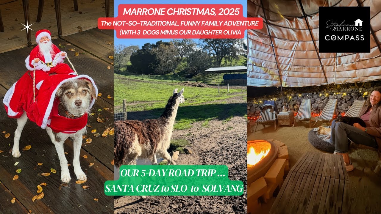 The Marrone Family (minus Olivia) hit the open road for Christmas this year!