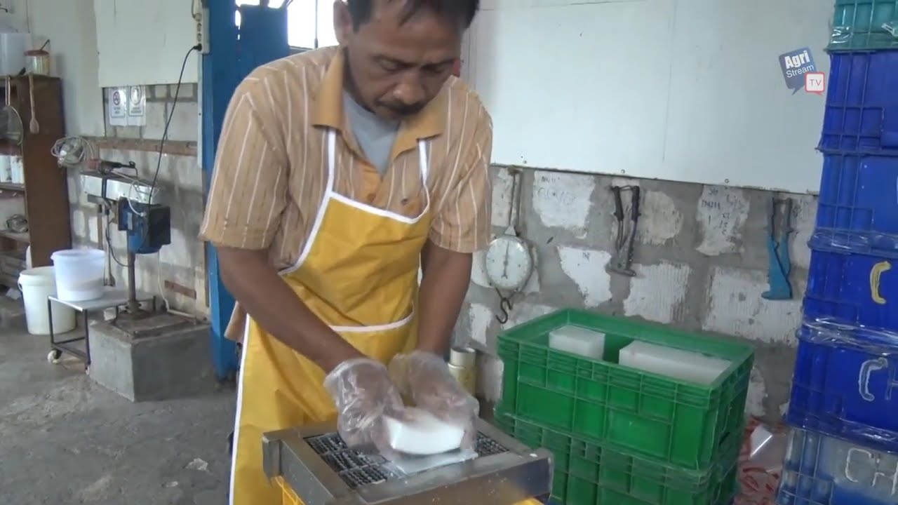AgriStream TV - Cara Membuat Jelly dan Kopyor Rumput Laut