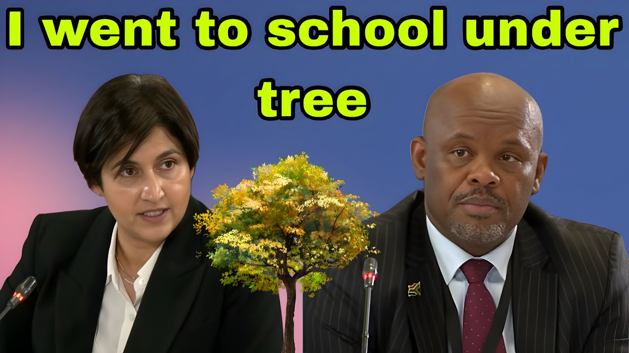 General Sibiya blames School after being grilled by commissioners.