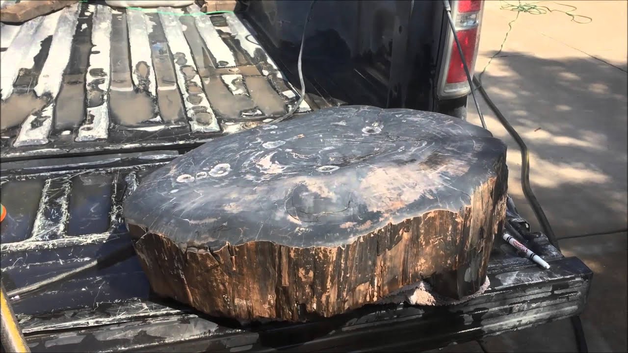 Contour polishing petrified wood