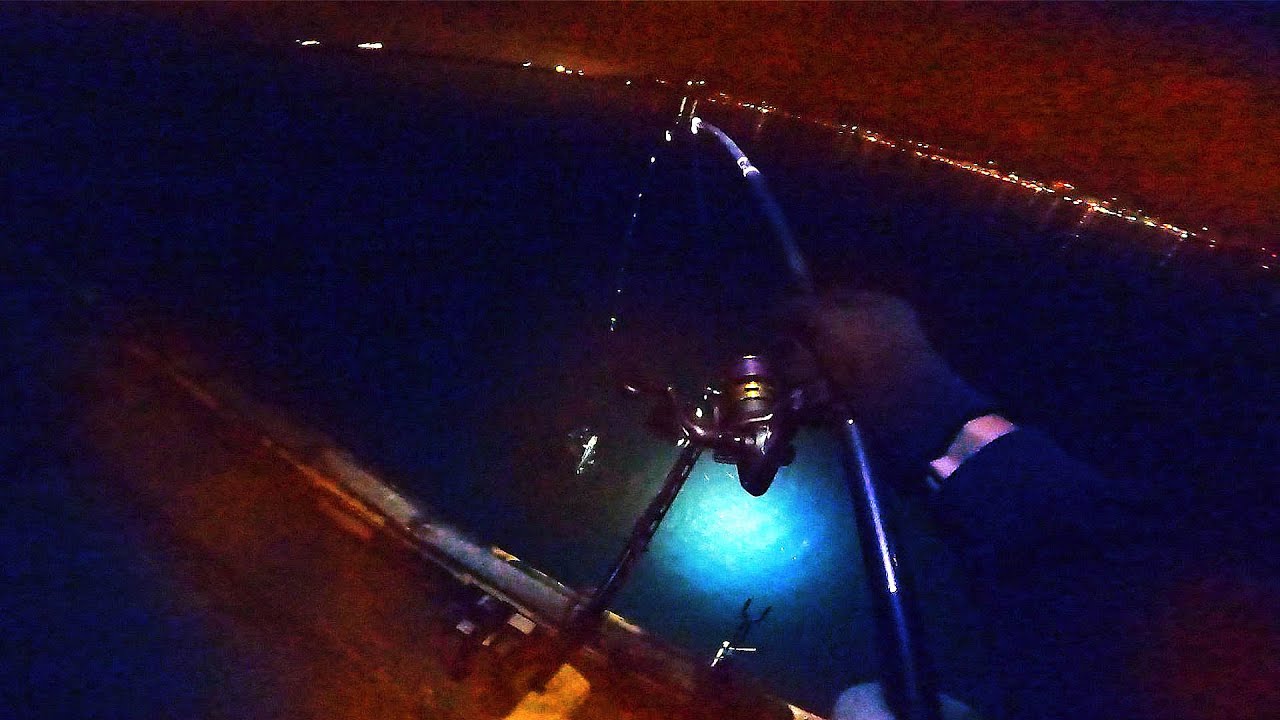 【北海道石狩湾・小樽釣り】竿が引き込まれる夜釣り!!　2025.8.3　北国の生活（小樽港厩町岸壁、投光器、サビキ釣り、大サバ他）