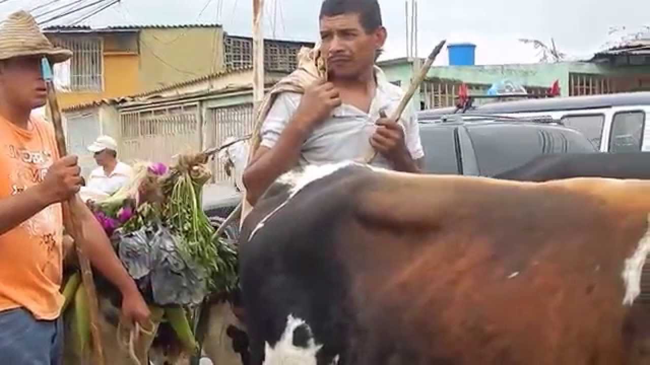 Fiesta de San Isidro en Boconó