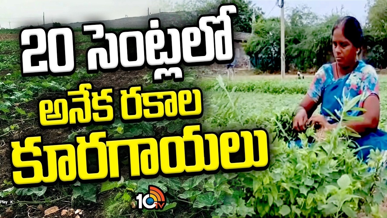 Best Farming Idea's | 20 సెంట్లలో అనేక రకాల కూరగాయలు | Matti Manishi | 10TV Agri