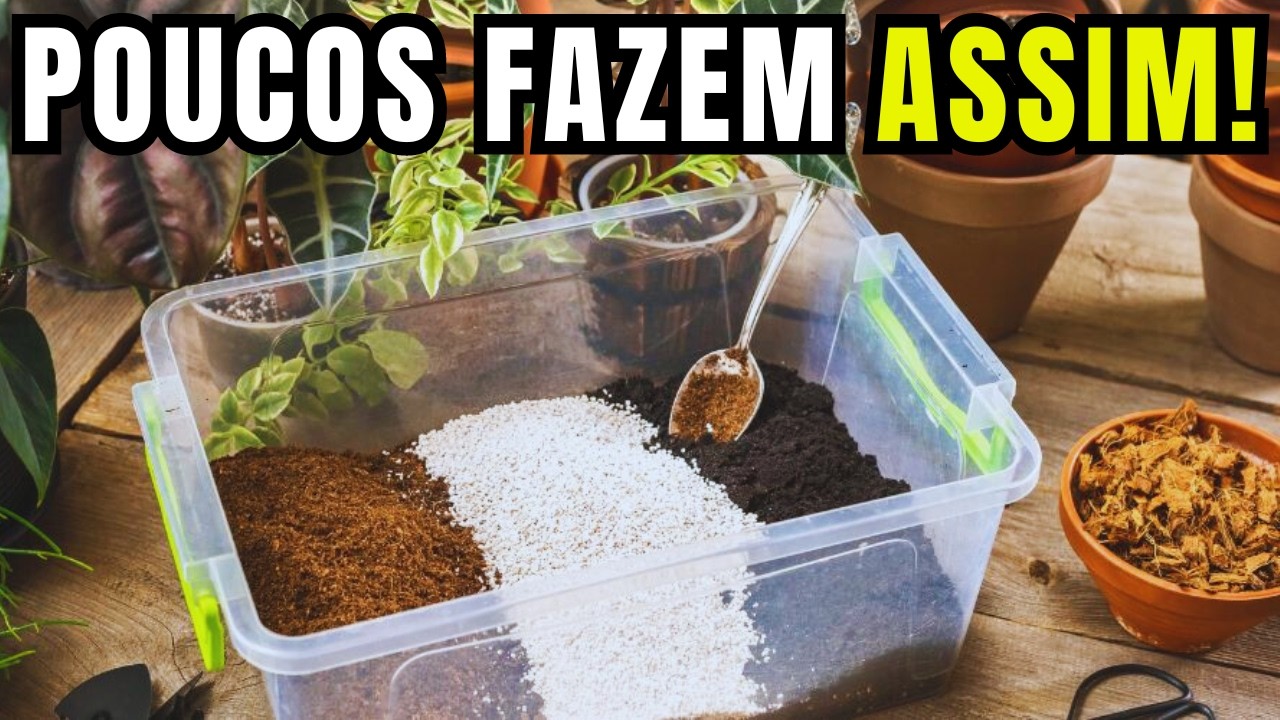 Como Preparar o Solo para o Plantio