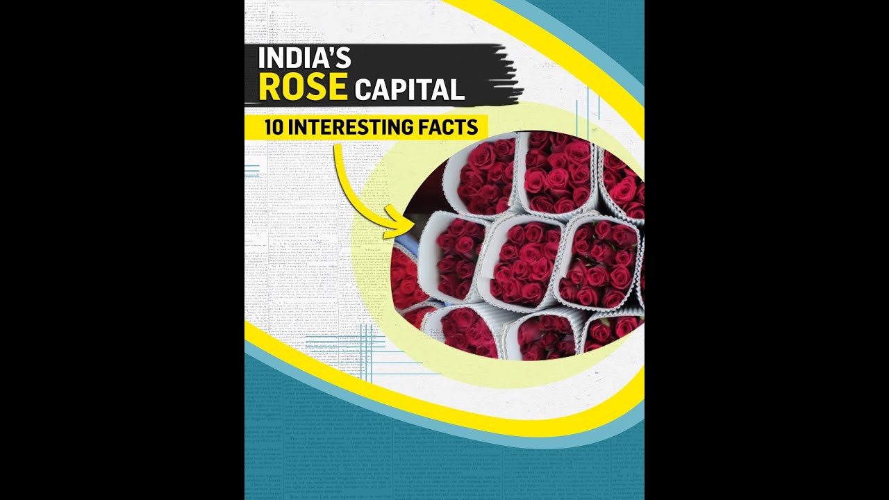 How Bengaluru became India's rose capital | 10 interesting facts | Bengaluru Rose Export