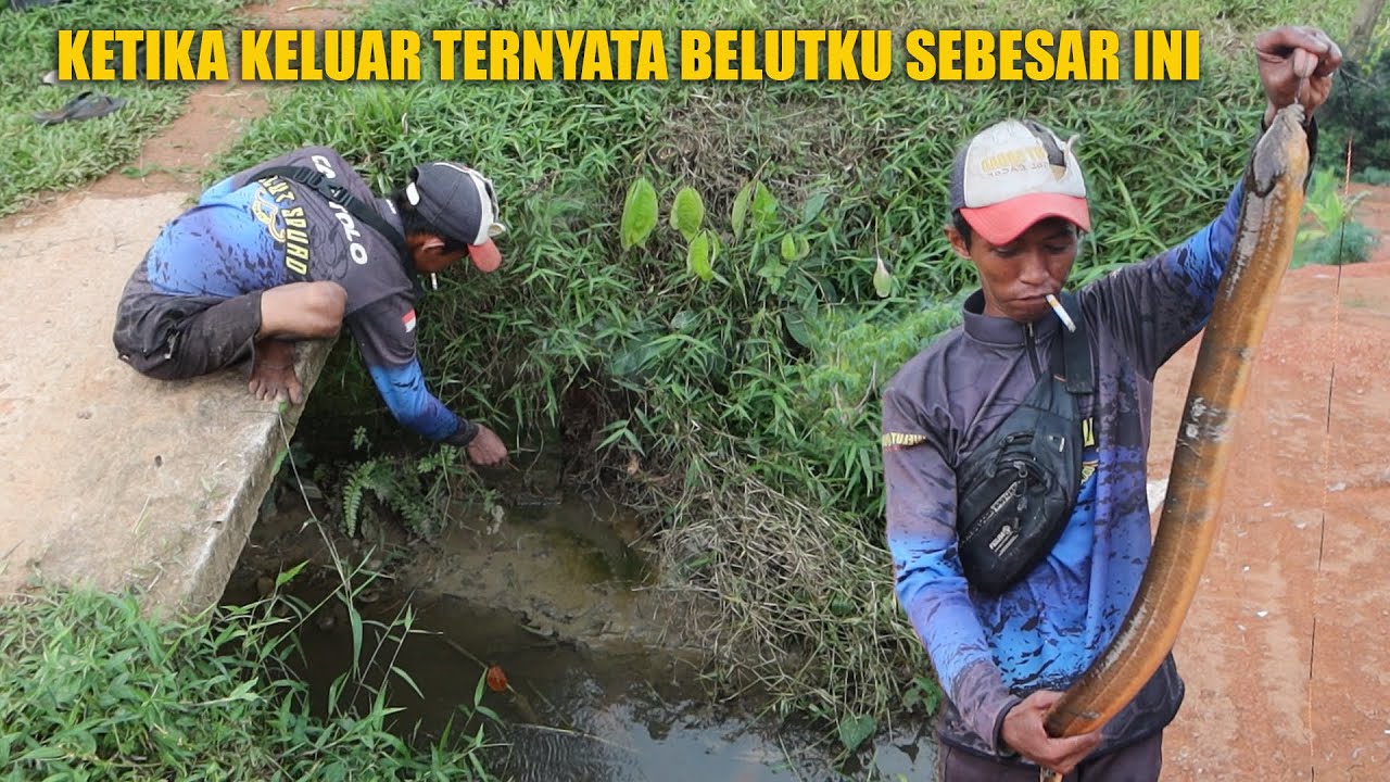 AKHIRNYA BISA STRIKE BELUT MONSTER DISPOT BEGINI