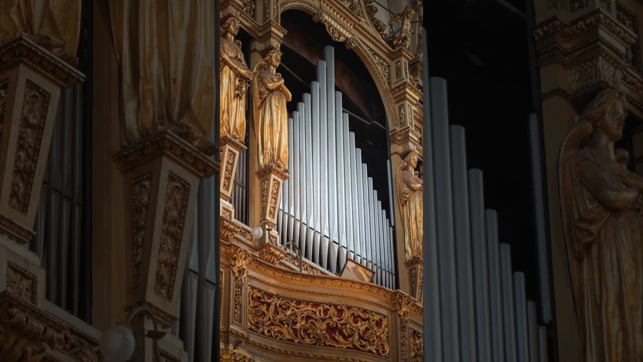 Charles-Marie Widor - ALLEGRO from Organ Symphony No.6, Op.42 | Roberto Bertero (Organ)
