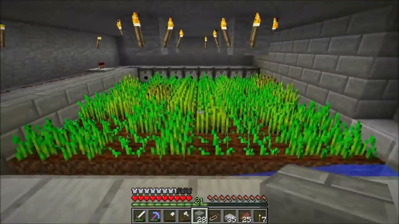 Minecraft pro začátečníky (23. díl)  Farma na obilí