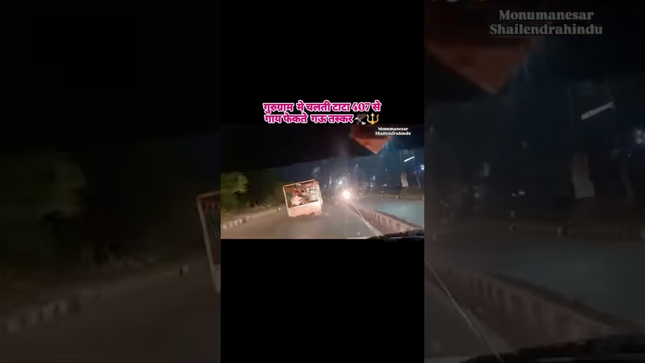 Monu Manesar 🥷🏻 Bajrang dal 💪🏻 गौ रक्षा दल गुड़गाँव मानेसर 