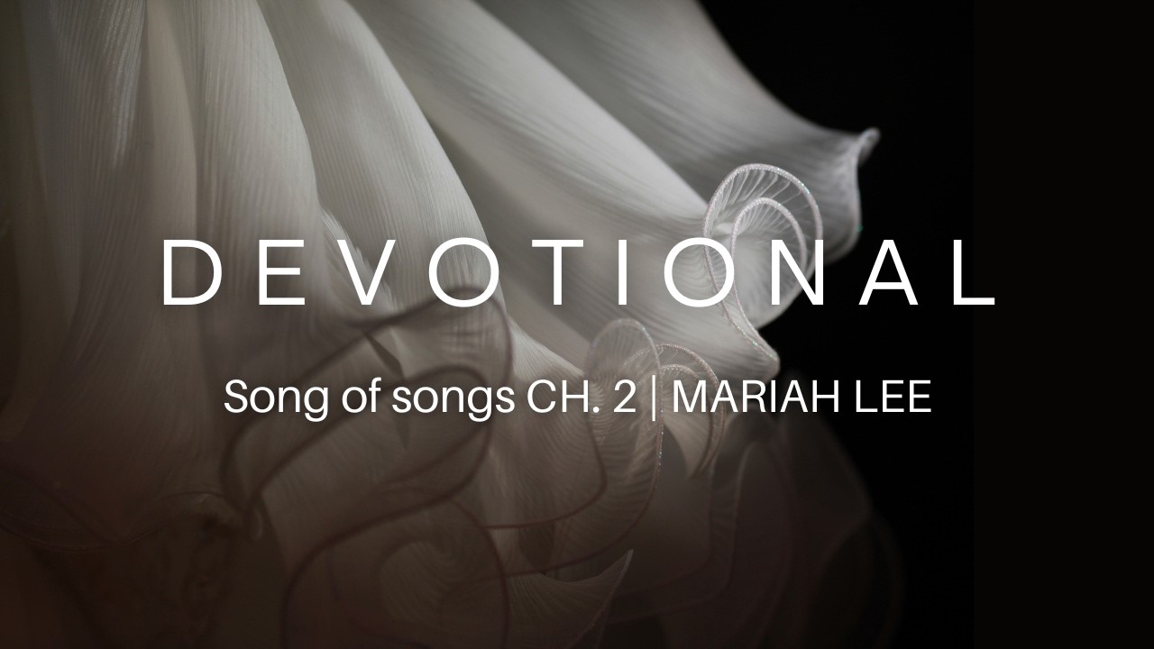2026.02.05ㅣMARIAH LEE 이마리아 | 아가서2:14-17 l devotional ㅣspontaneous ㅣ즉흥예배
