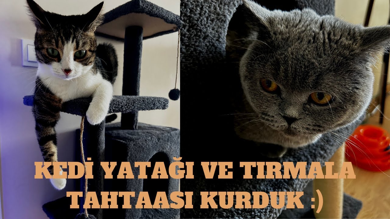 Kedilerimiz için Tırmalama tahtası ve Yatak Kurulumu Yaptık | Nursoft Double Step Kedi Tırmalama Evi