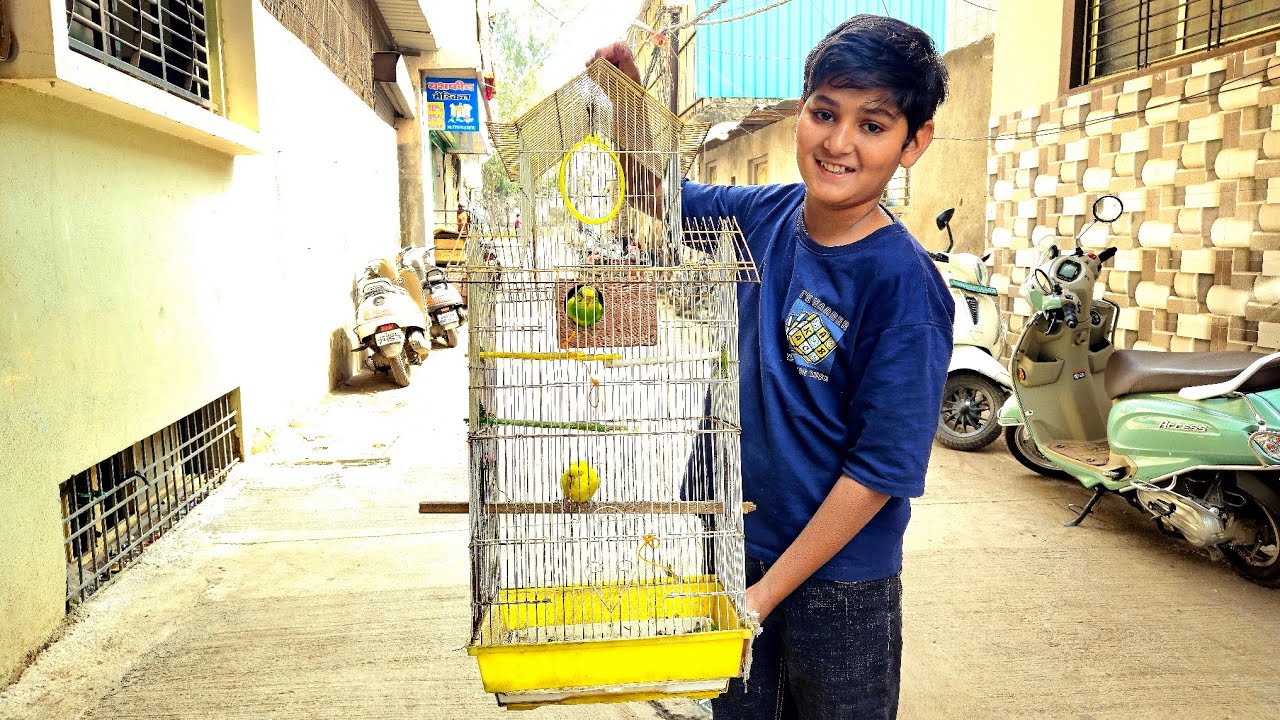 Old Budgies Exchange karke New Budgies Liye 😍 | 