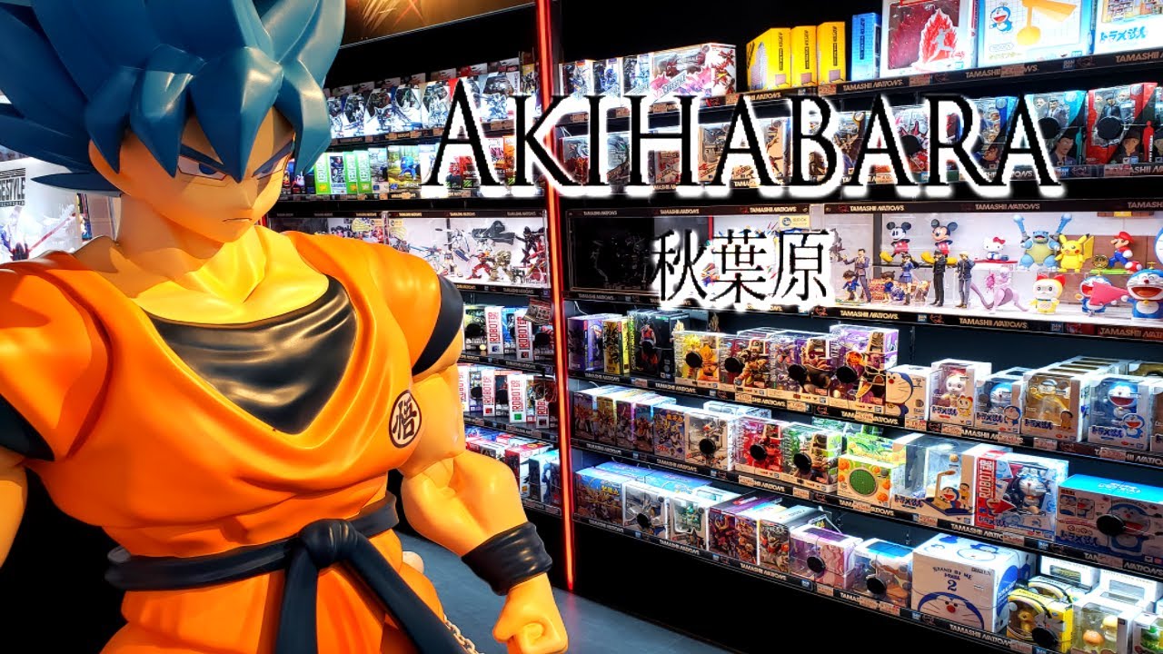 My FAVORITE Anime Figure Shop in Akihabara