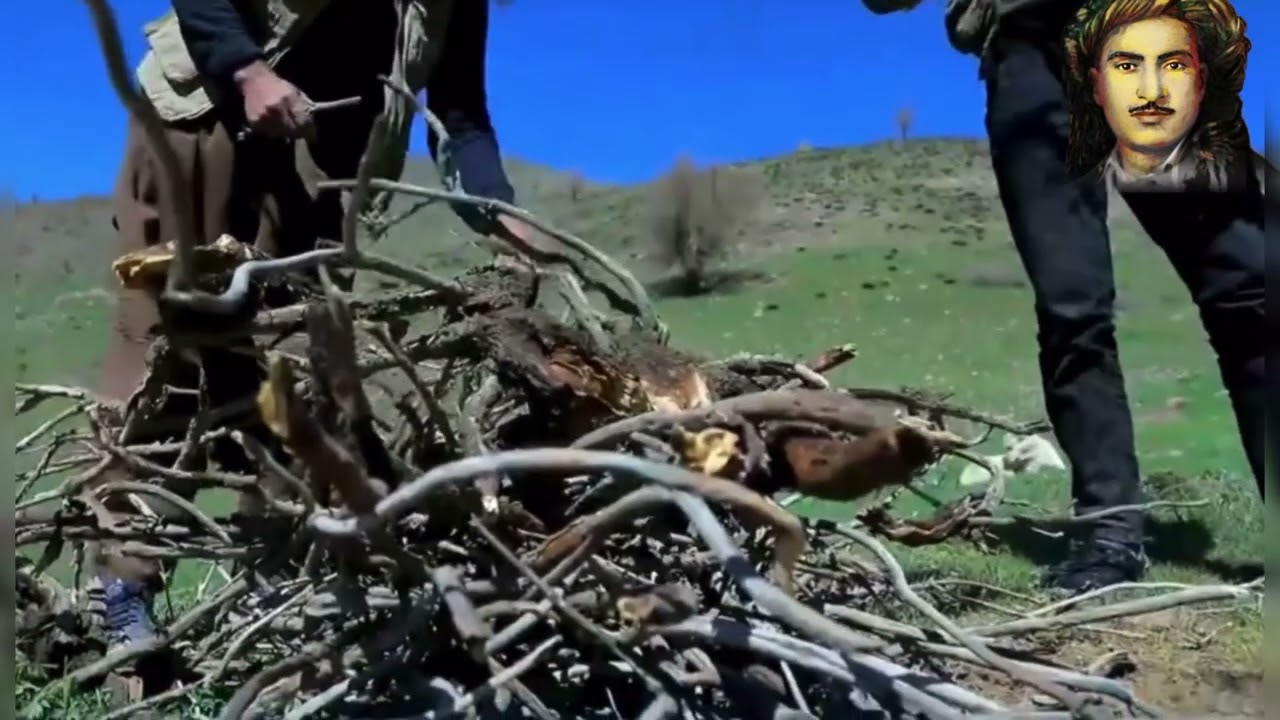حەسەن زیرەک/ئەری وەرە شەماڵ وەرە/hasan #حەسەن_زیرەک zirek/#kurdishmusic /#kurdish