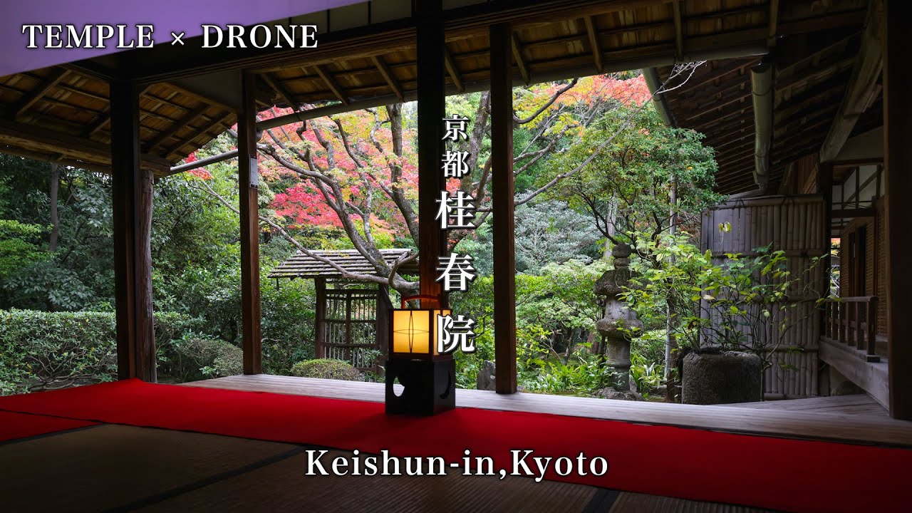 【ドローン空撮】苔×紅葉の京都・桂春院－静寂に包まれる秋の庭－字幕あり