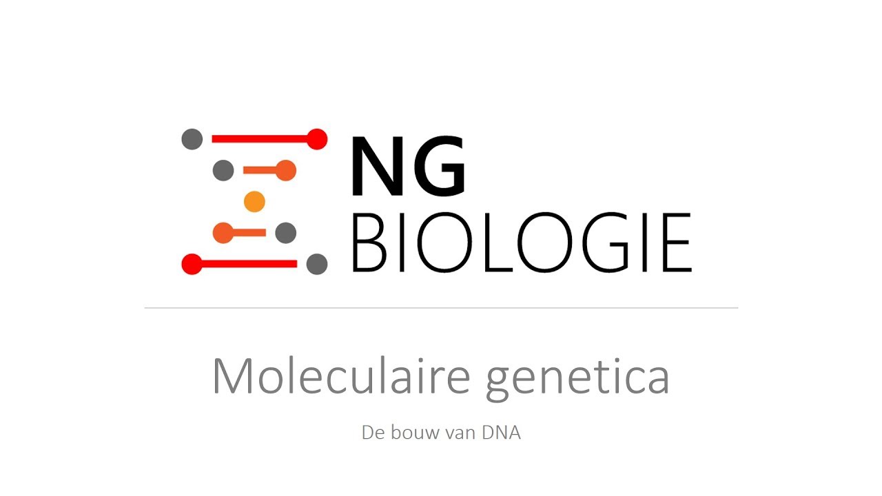 Moleculaire genetica - de bouw van DNA - HAVO/VWO