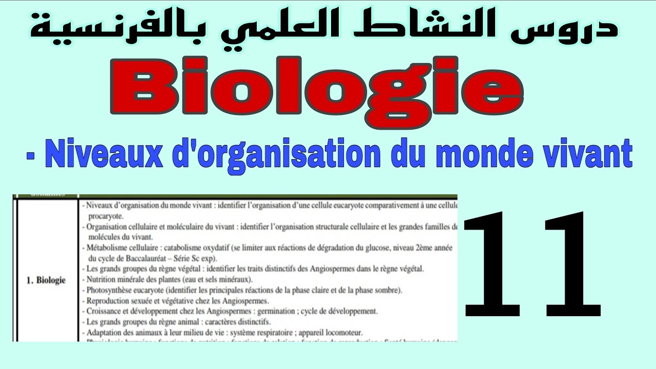 Niveaux d'organisation du monde vivant EP1